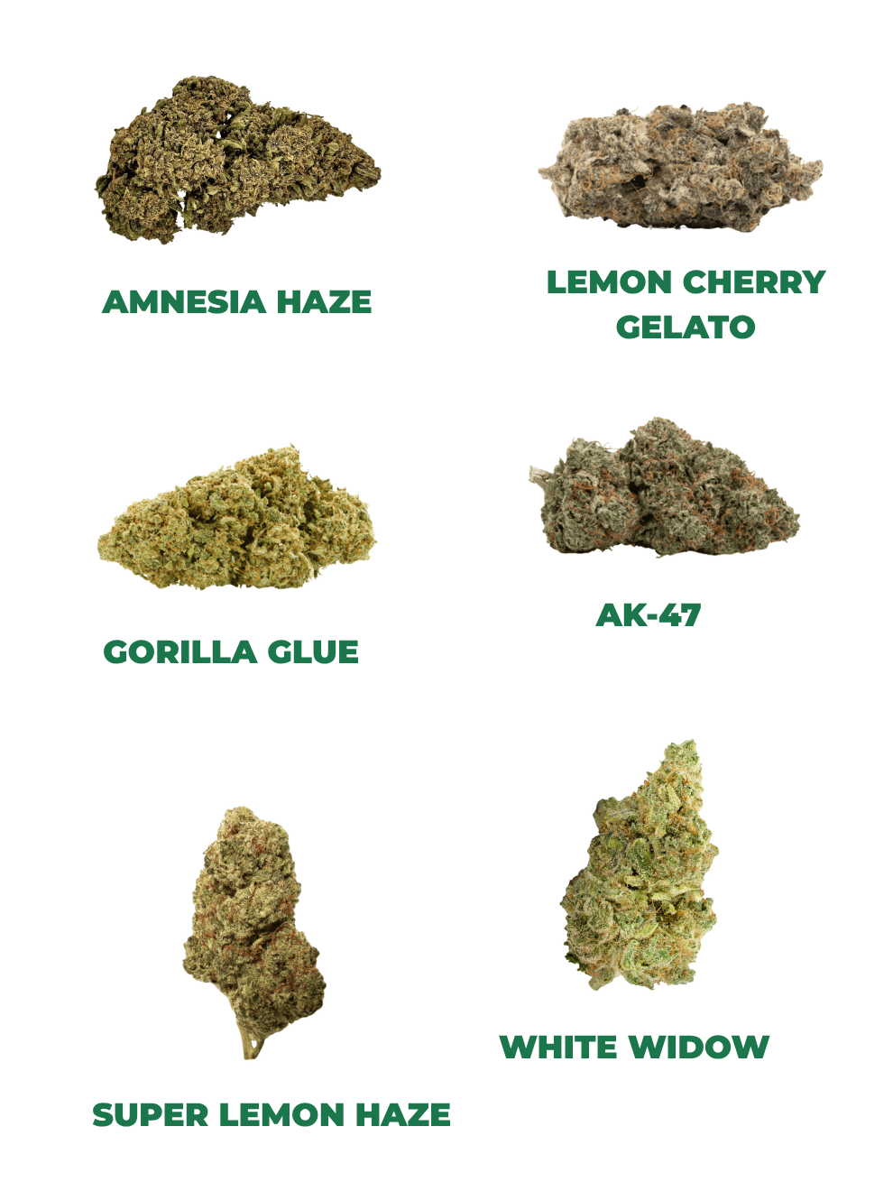 THC Probier Set
