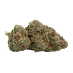 Tropical Mango