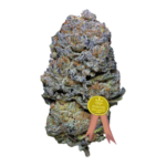 Granddady Purple